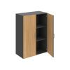 Hobis Drive D 3 80 01 dub grafit USH