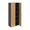 Hobis Drive DZ 5 80 00 dub grafit USH
