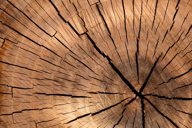 Umění Zpracování Dřeva: Od Stromu k Skvostnému Výrobku
