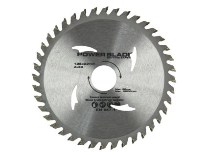 Kotouč pilový s SK plátky (vidiový), 125x40Tx22,2mm POWER BLADE
