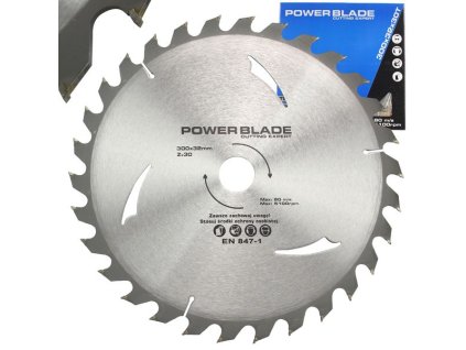 Kotouč pilový s SK plátky (vidiový), 300x30Tx32mm POWER BLADE