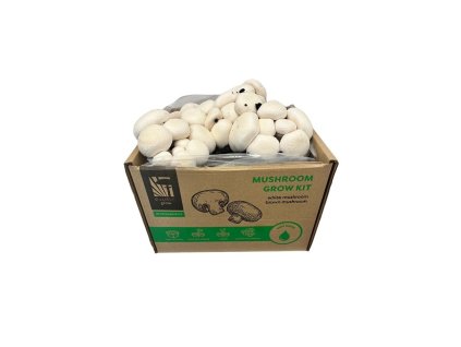 Sada pro pěstování Žampión bílý 15l (Agaricus Bisporus)