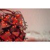 RXL 307 řetěz 150LED 15+5m RED RETLUX