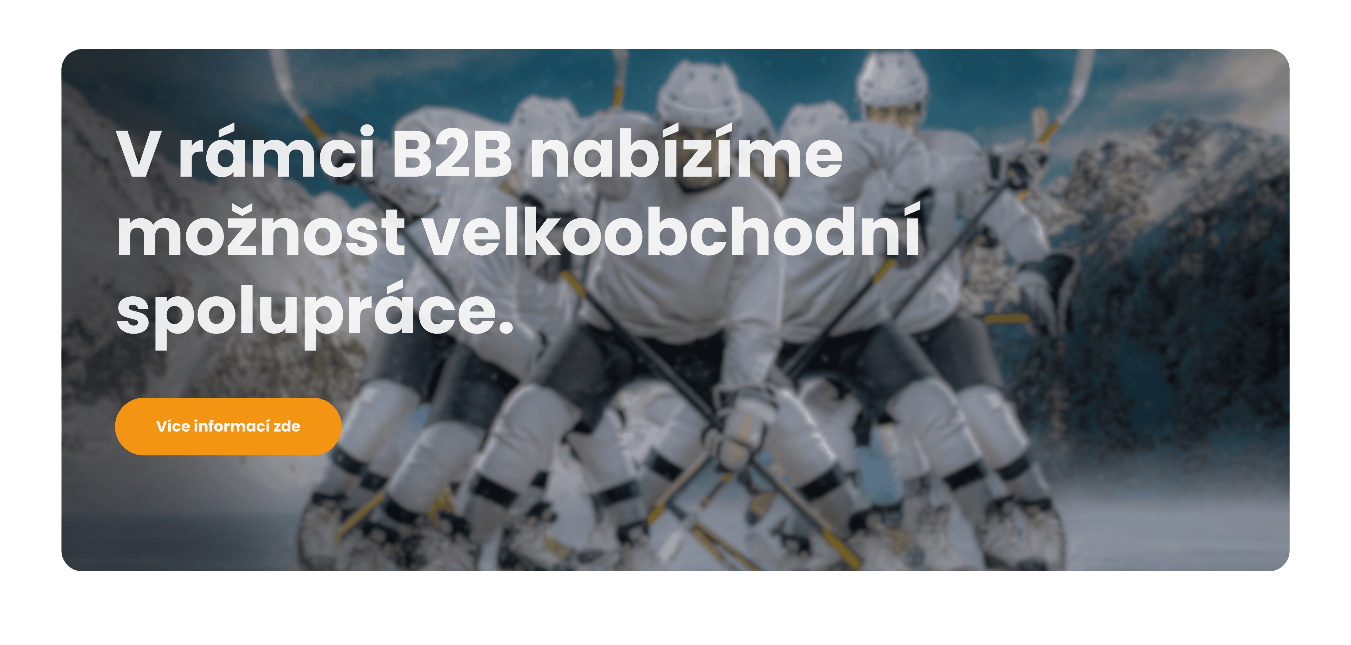 CAROUSEL - B2B SPOLUPRÁCE