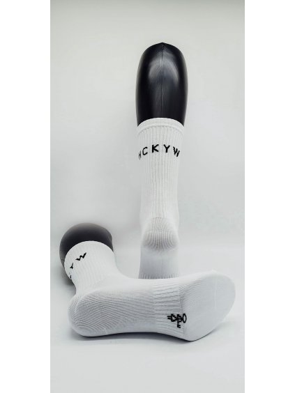 HCKYW Uni Socks 23