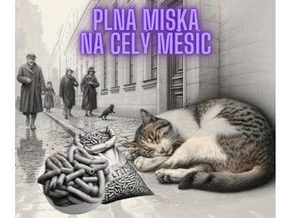 Plná miska na celý měsíc