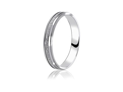 Prsten z oceli 19SRI5240.A