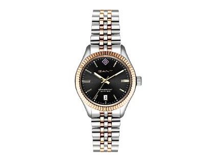 G136010 SUSSEX-BCG GANT Time