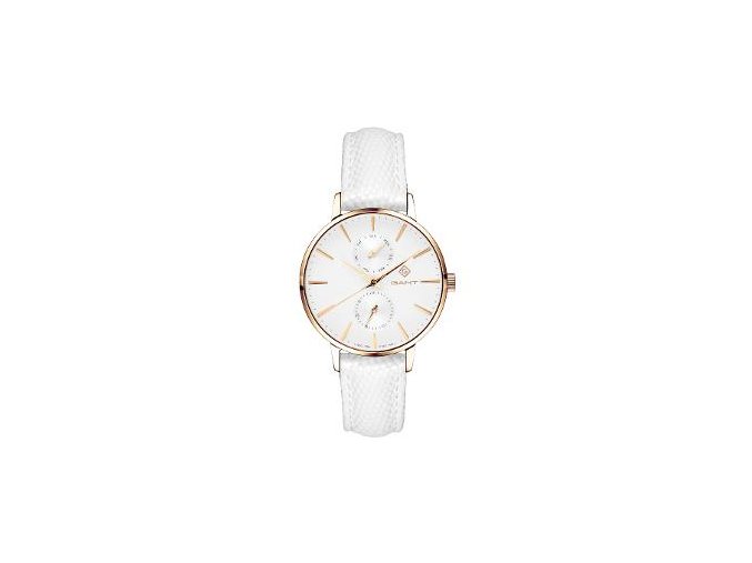 G128009 PARK AVENUE DAY-DATE _GANT Time