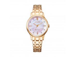 Citizen EM0893-87Y