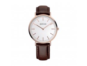 BERING 13738-564