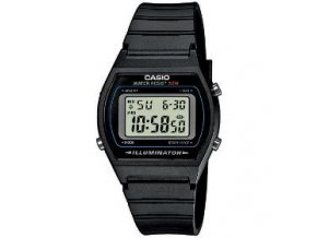 W-202-1AVEF CASIO (247)