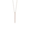SJ P1013 CZ RG 45 5000x