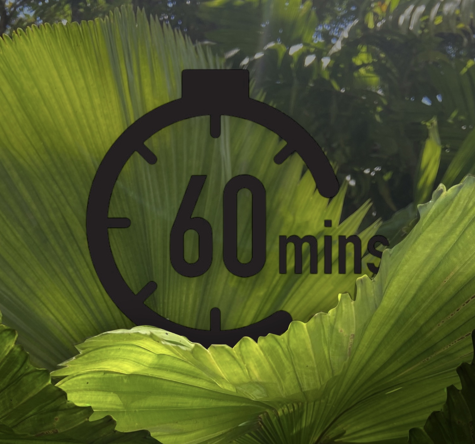 Kratom rozvoz Karviná