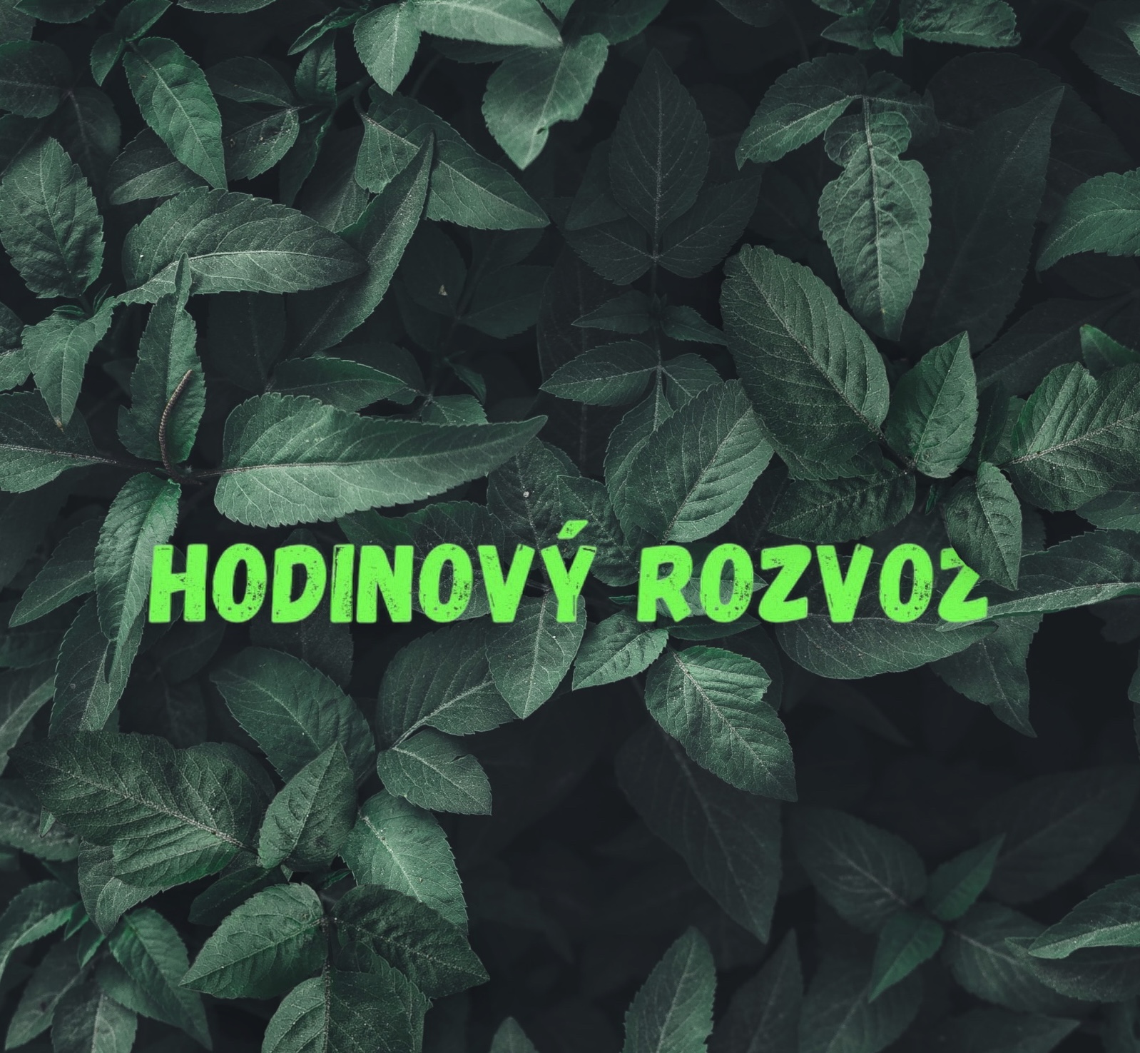 Rychlý rozvoz kratomu
