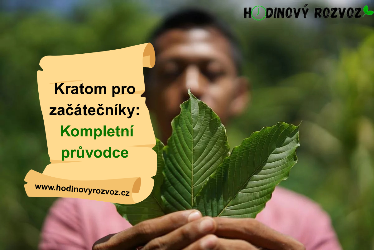 Kratom pro začátečníky: Kompletní průvodce