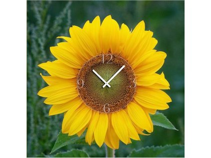 6040-0002 DX-time 40cm