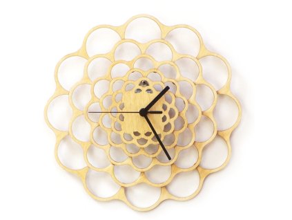 001.02.001 Ardeola Coral M