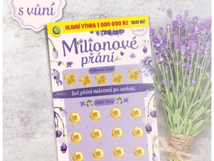 Snímek obrazovky 2025 11 27 132312