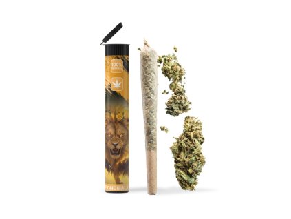 c5cec4b51d7a46e7c5162defbdd23978 leone giallo