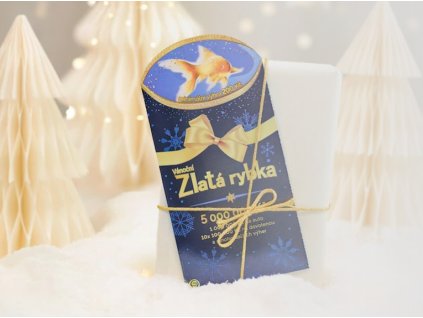 Snímek obrazovky 2025 11 27 134703