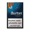 burton blue crush