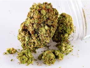 tangerine 3g cbd kvety premium indoor-www.hodseokldi.cz-8386