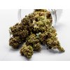 cbd kvety premium blueberry 5g www.hodsedoklidu.cz xl 1031