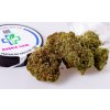 cbd kvety bubblegum www.hodsedoklidu.cz 8463