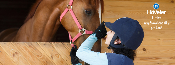 Jak správně krmit koně?