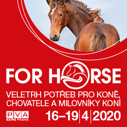 Duben 2020 - FOR HORSE, Praha