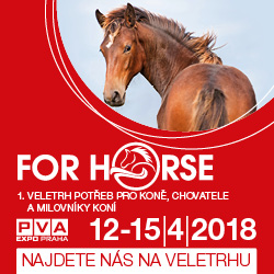 Veletrh For Horse 2018 Praha Letňany