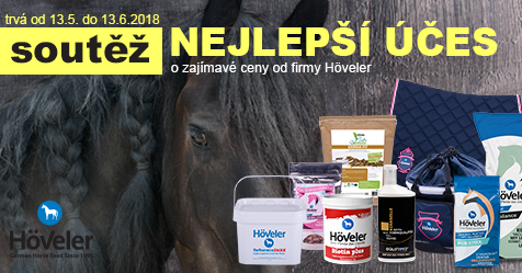 Soutěž o Nejlepší účes koně