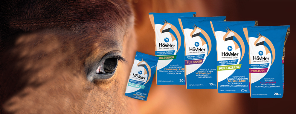 Žaludeční vředy u koní a vše o nich