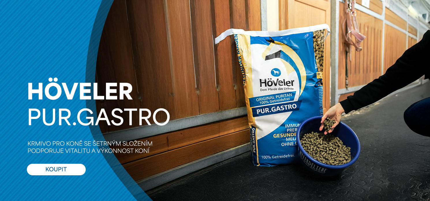 PUR GASTRO / DESKTOP