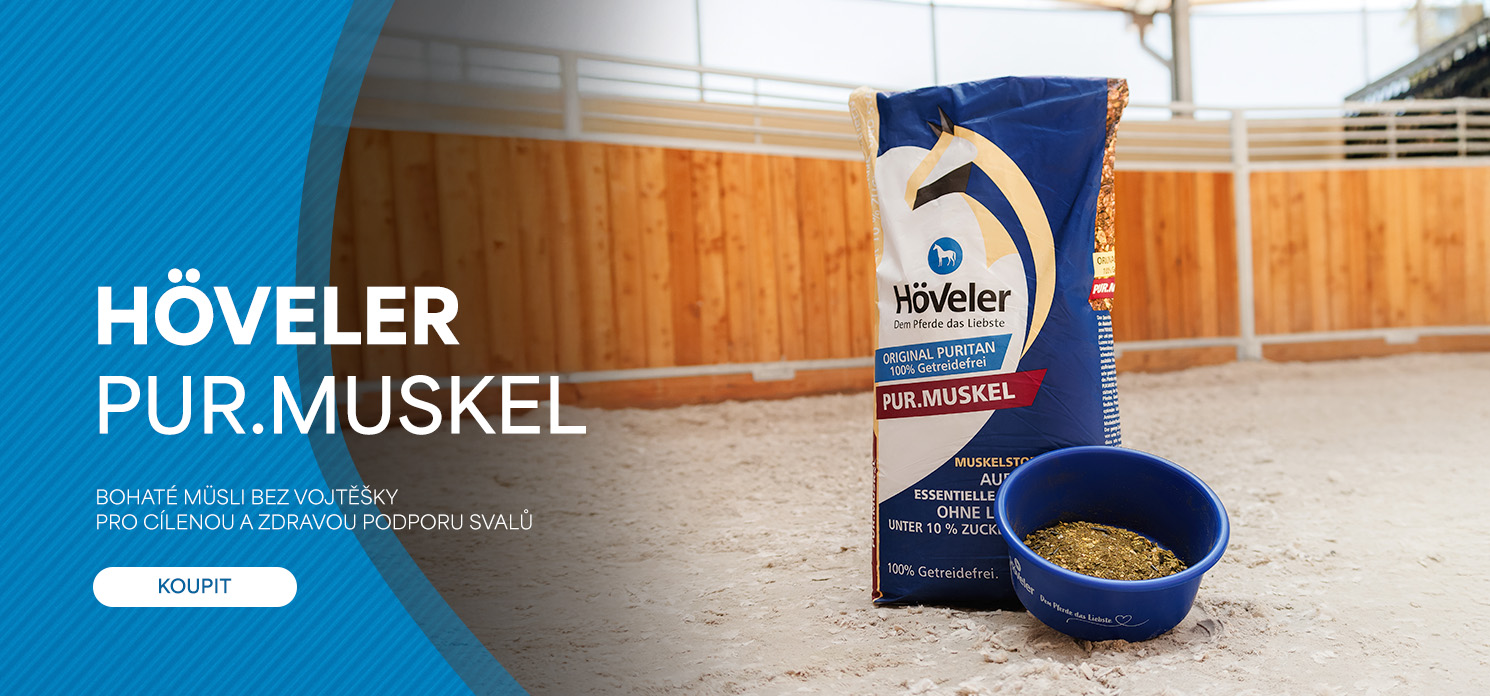 PUR MUSKEL / DESKTOP