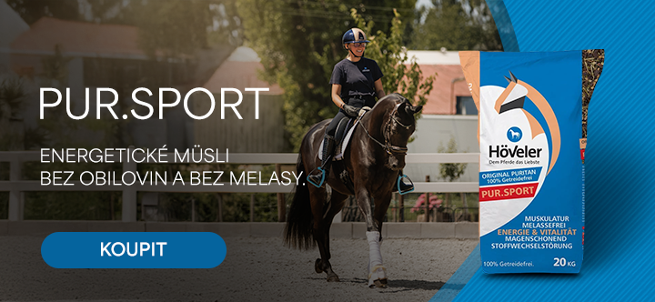 PUR.Sport