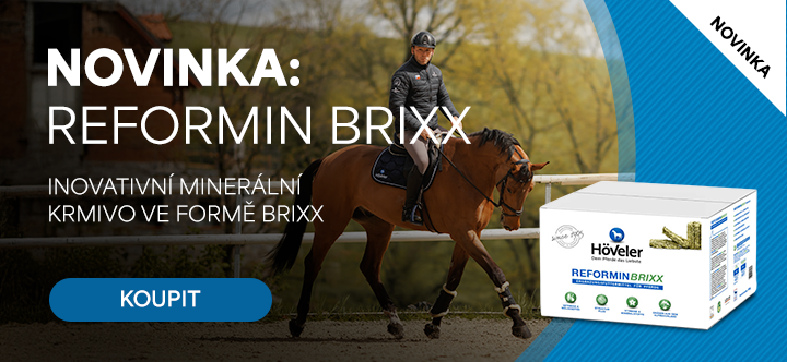 Novinka Reformin BRIXX