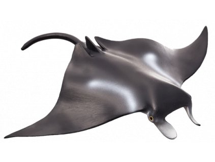 Mojo Rejnok manta