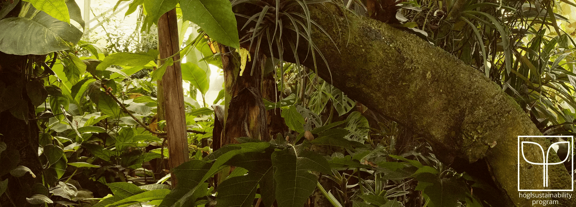 Materiály - údržba obuvi a ošetřování