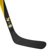 hokejky Bauer Nexus Pastrnak