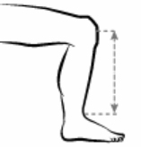 pic-shin-guard