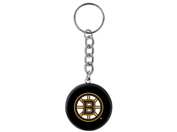 sw klicenky nhl boston