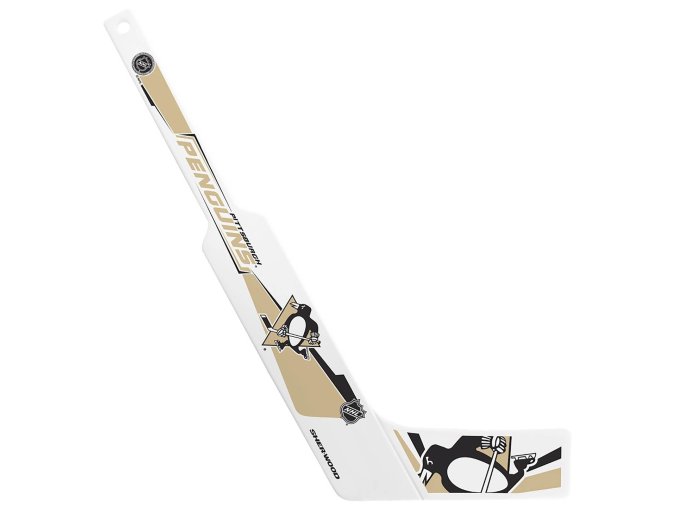 inglasco goal stick pittsburgh