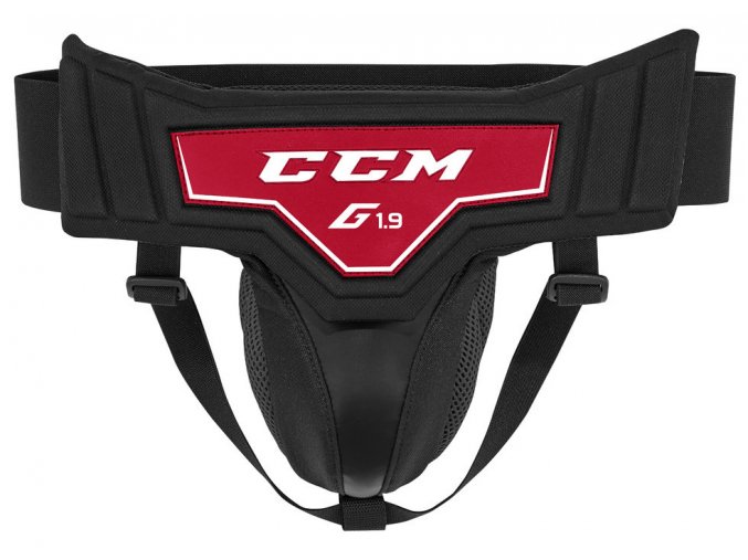 ccm goalie susp 1 9 1