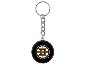 sw klicenky nhl boston