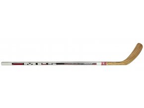 passvilan stick 2900 1
