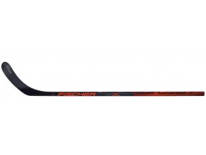 fischer stick rc one is1 flex 30 0