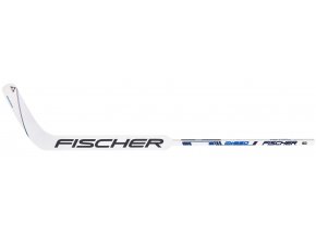 fischer goalie stick gw 250 s20 1