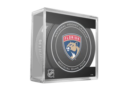 hivatalos NHL-meccskorong